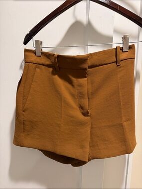 Aritzia High-Waist Tailored Shorts in Rust